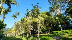 Ridgewood (D10), Condominium #625333991